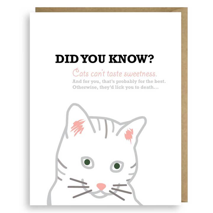 Second Story Cards - Vente Carte de vœux classique - Carte Douceur