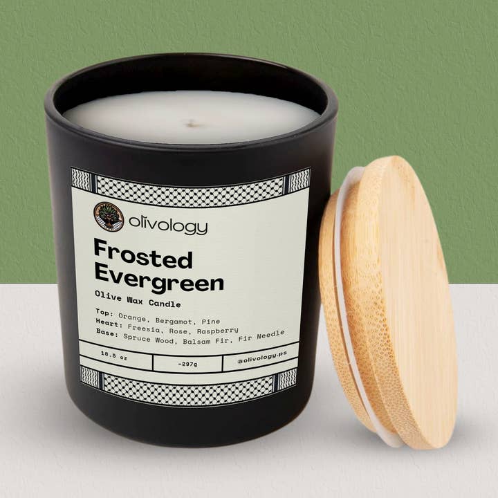 Frosted Evergreen — Handmade Olive Wax Candle (10.5oz) for wholesale by Olivology