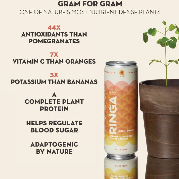 RINGA - Wholesale Flavored/Infused Water (Non-Carbonated) - RINGA LEMON + GINGER MORINGA & APPLE CIDER VINEGAR INFUSION7