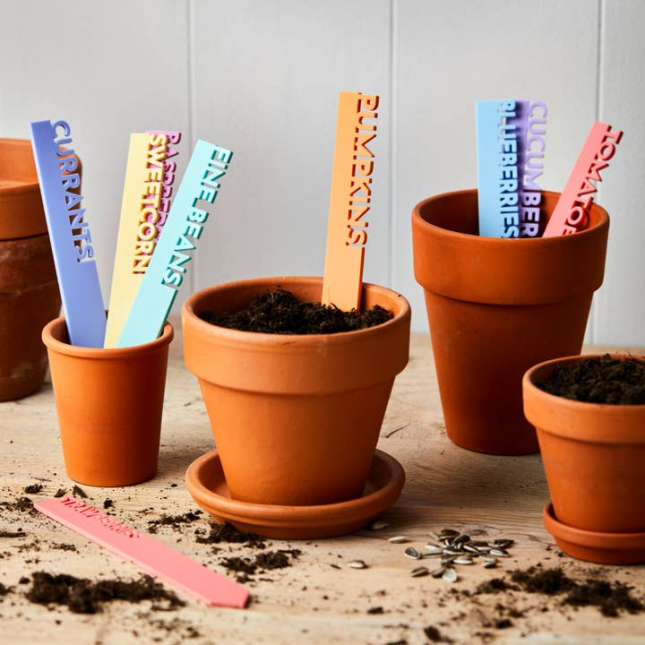 Pastel Fruit and Vegetable Plant Labels for wholesale by Parkin & Lewis