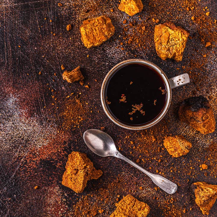 Chaga Mushroom Powder, Fine Ground for wholesale by Kootenay Wildcrafting Co