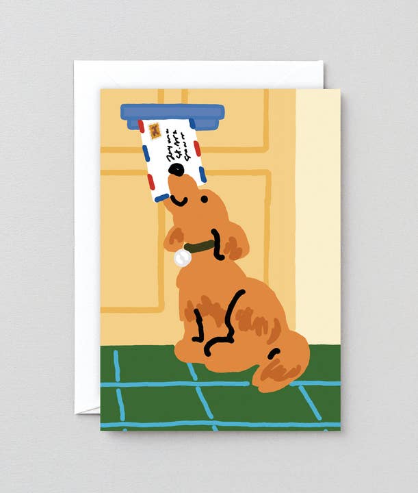Wrap (US duties paid) – wholesale Birthday card – Happy Birthday Dog Mail Greetings Card