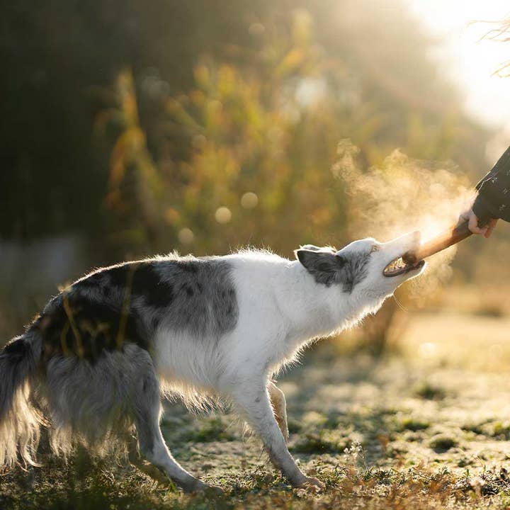 POCURULL SL (Retorn) - Wholesale Pet Toy - Dog - Rub Bite Dog Toy10