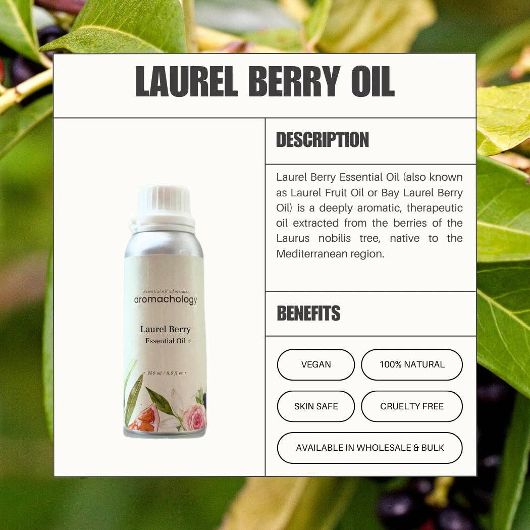 Aromachology - Wholesale Essential Oil - 100% Pure and Natural Laurel Berry Oil2