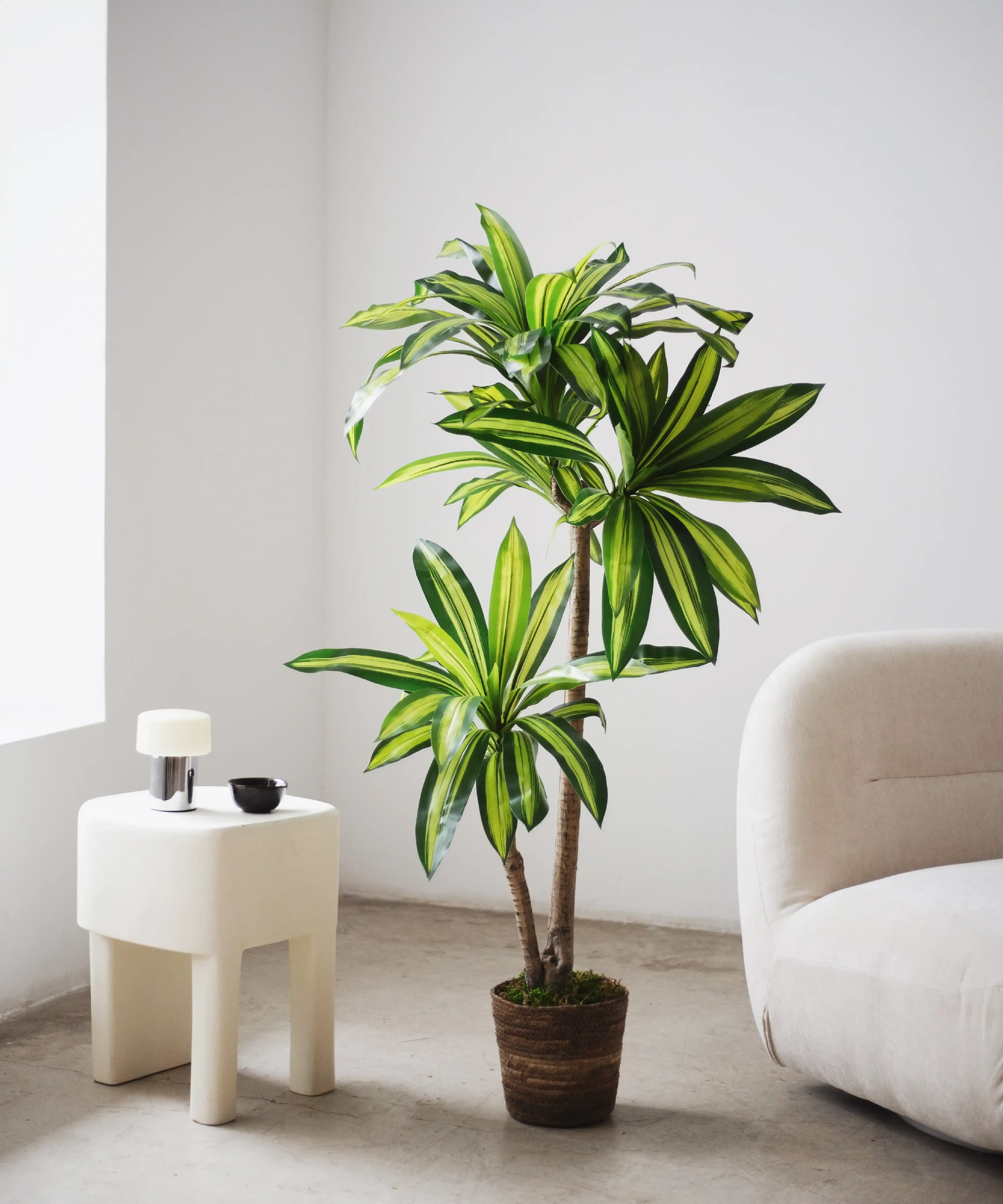 Maia Shop: No Duties for the US - Vente Plantes artificielles - Dracaena artificiel de 4,5'0