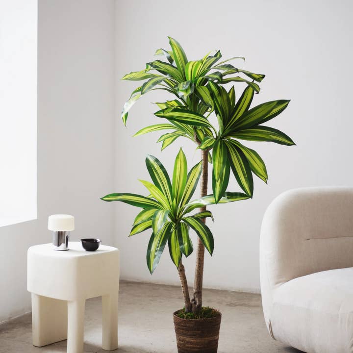 4.5' Artificial Dracaena Tree for wholesale by Maia Shop
