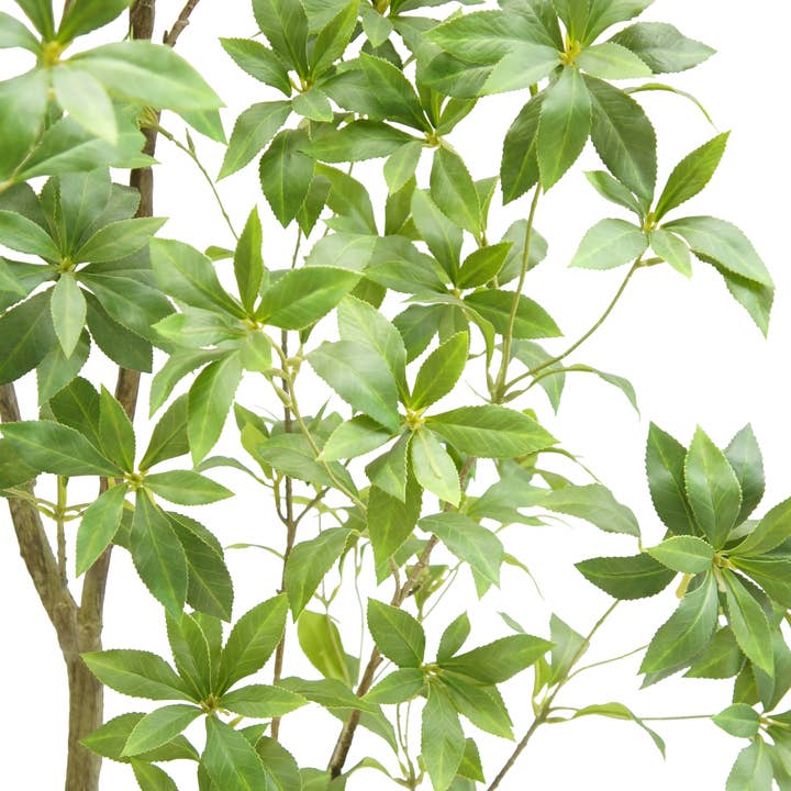 CG Hunter - Wholesale Artificial Plant - 7' Artificial Laurel Tree2