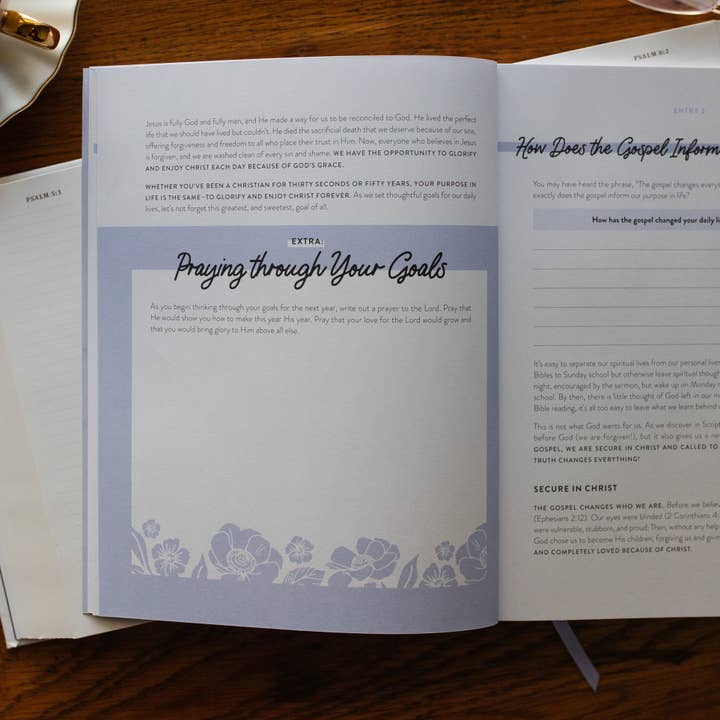 The Daily Grace Co - Wholesale Book - Adult - This is HIS Year | Faith Workbook