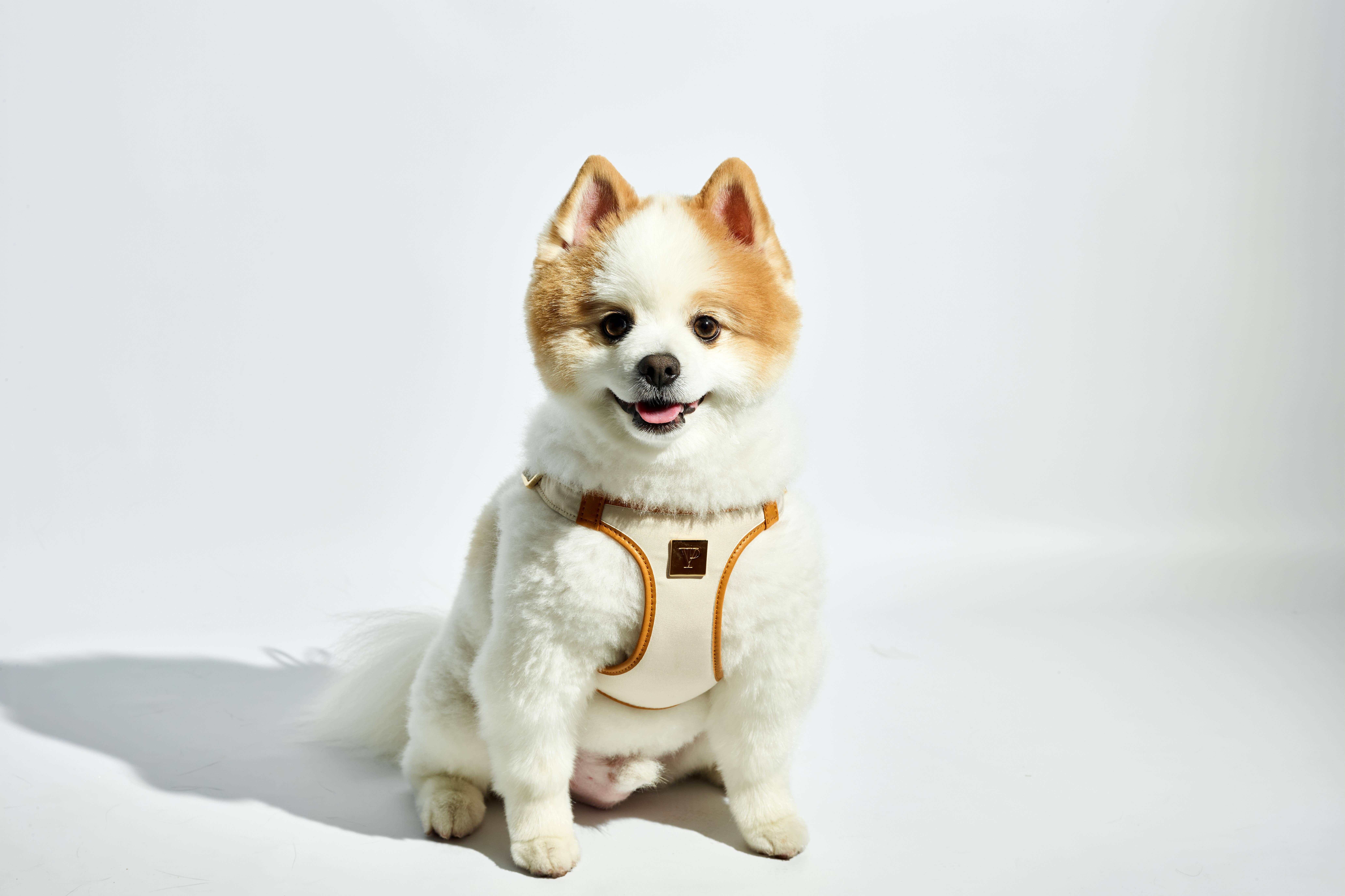 The V.I.PUP Collection - Wholesale Pet Harness - Dog - Denim Victorian 88 & Gold Harness1