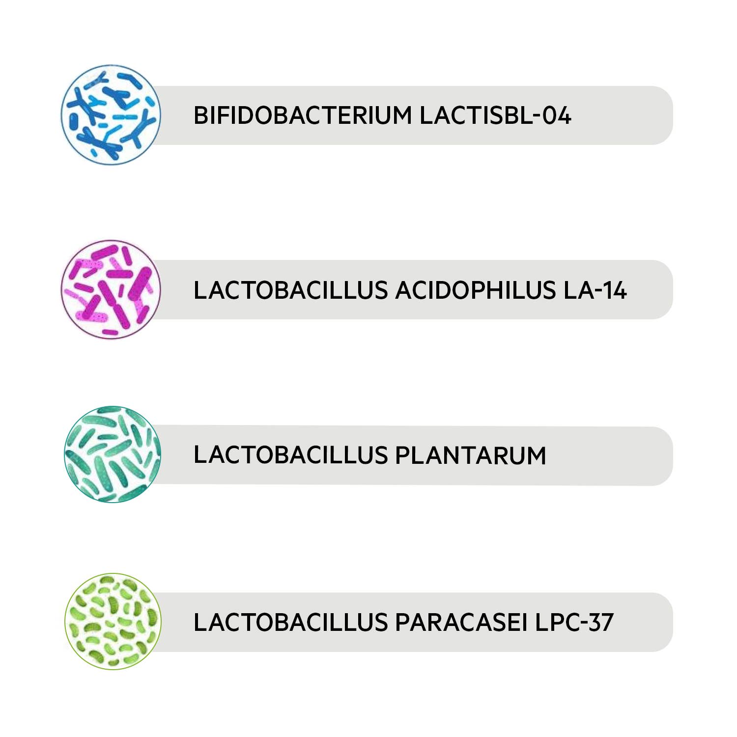 OPTIMA NATURALS - Vendita all'ingrosso Vitamine/integratori orali - Provida Probiotici Plus - 20 miliardi per dose - 7 flaconcin8