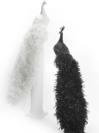 VOGEL PFAU SCHWARZ GESCHLOSSENER SCHWANZ für den Großhandel von Studio Specialties