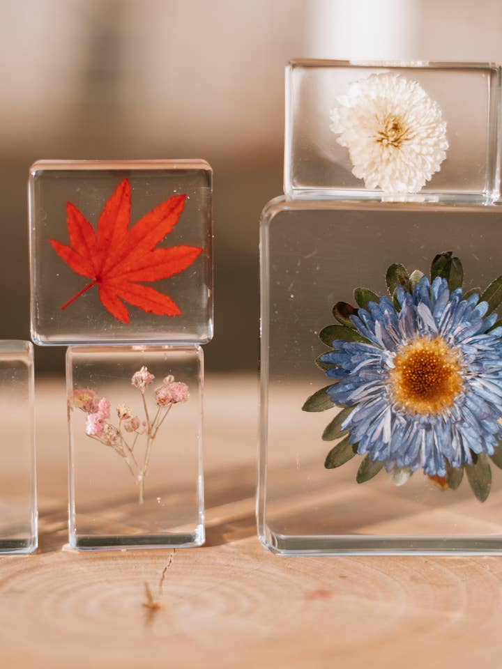 Flora Specimen Set for wholesale by Our Earth Life