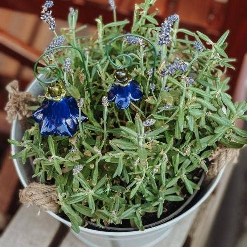 NaturoTheke - Vendita all'ingrosso Decorazione - Campanula + bastoncino