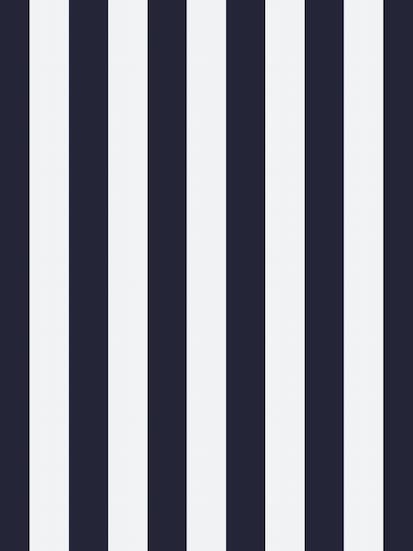 The Fable – Großhandel Hemd mit Button-down-Kragen – Damen – Die Matrosen14