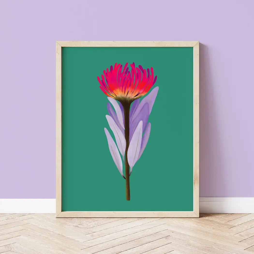 Sarah Whittle Illustration – wholesale Art print – Flame Protea Botanical Wall Art Print4