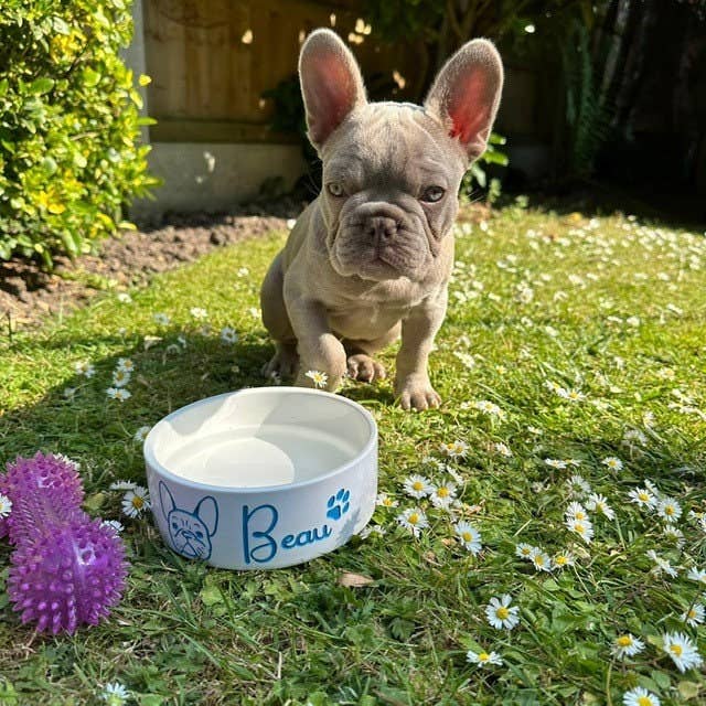 Ciotola in ceramica per animali domestici personalizzata con il nome del tuo gatto o cane per la vendita all'ingrosso da parte di The House nameplate company