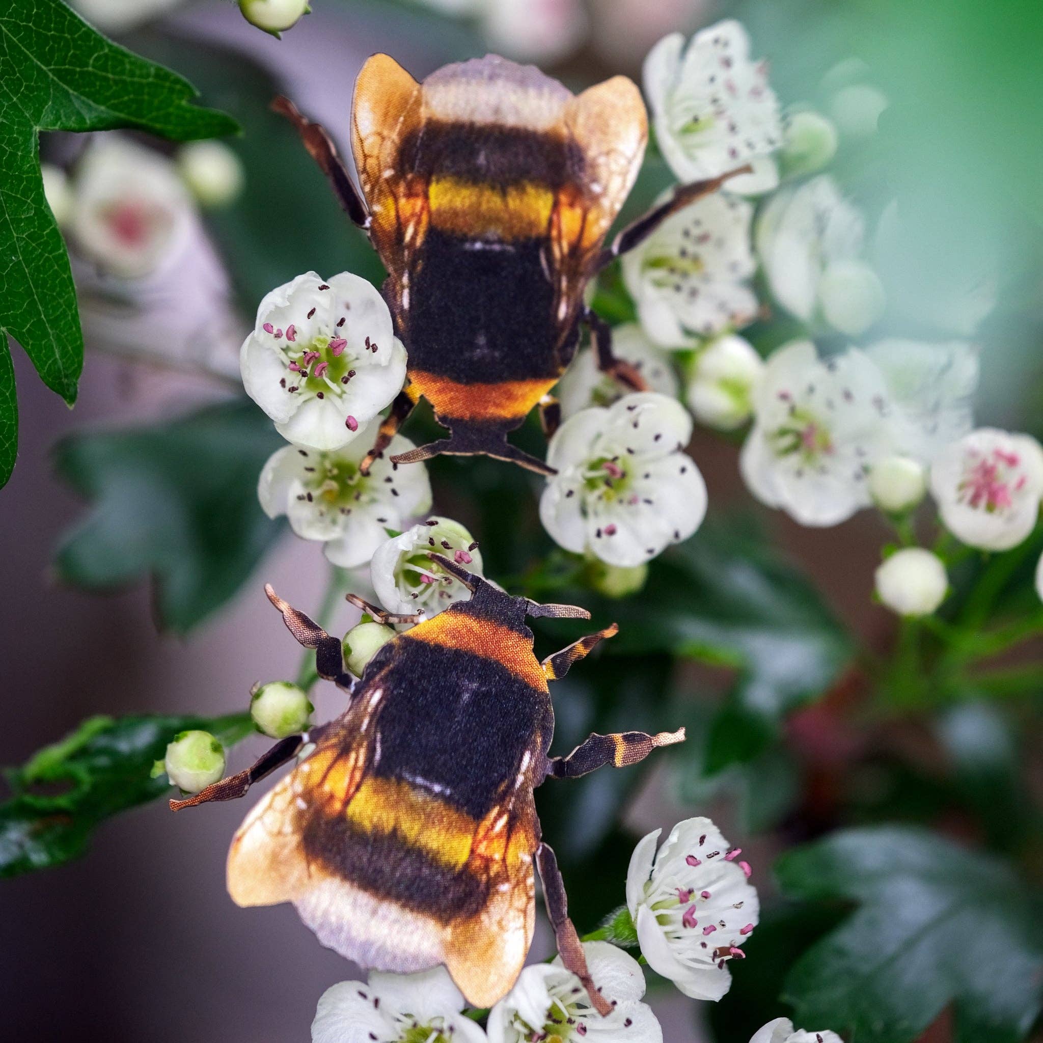 Moth and Myth - Wholesale Decorative Figurine - 'The Bees Knees' Collection 12 piece Set6