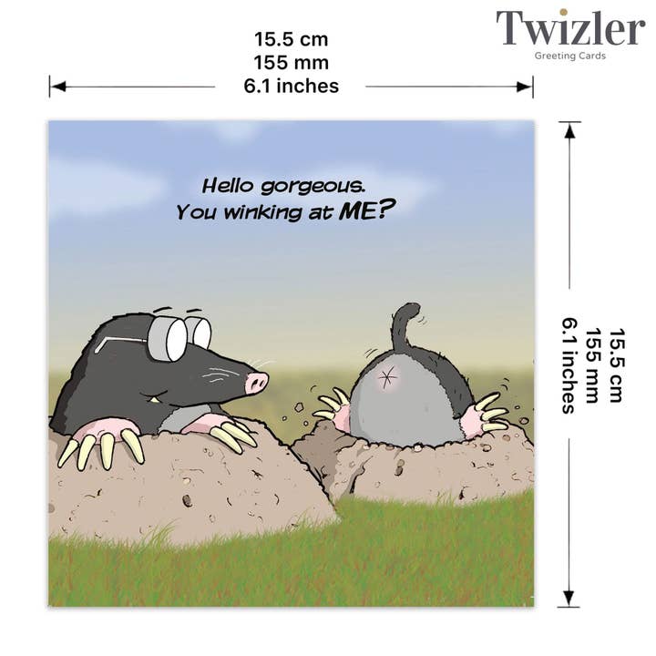 Twizler Ltd - Wholesale Everyday Greeting Card - Winking At Me - Funny Rude Card2