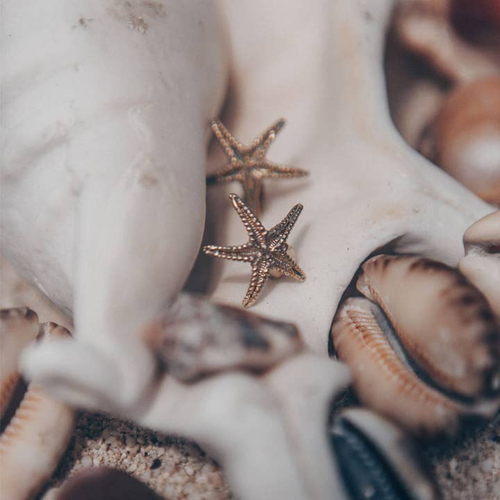 ASTEROS for wholesale by Selvatica