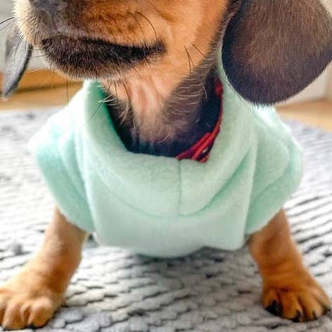 Mint Green Vattentålig hund fleece för wholesale av Bella Katee Pets
