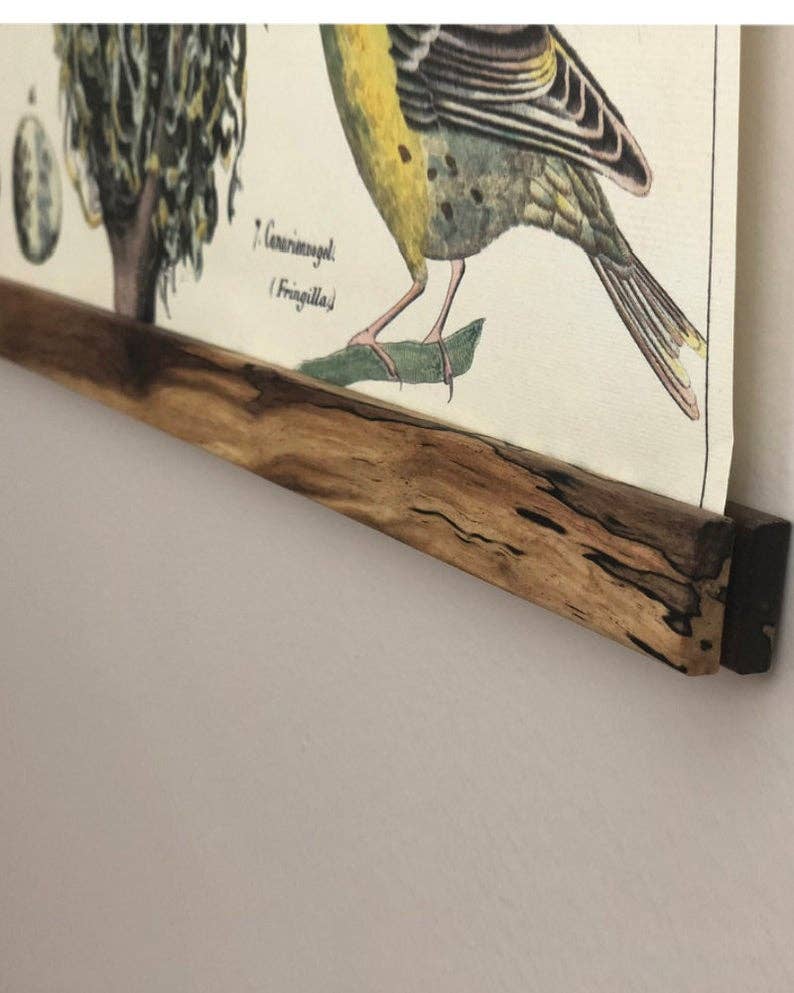 Cottonwood Co – Großhandel Poster – Magnetische Poster-Aufhänger1