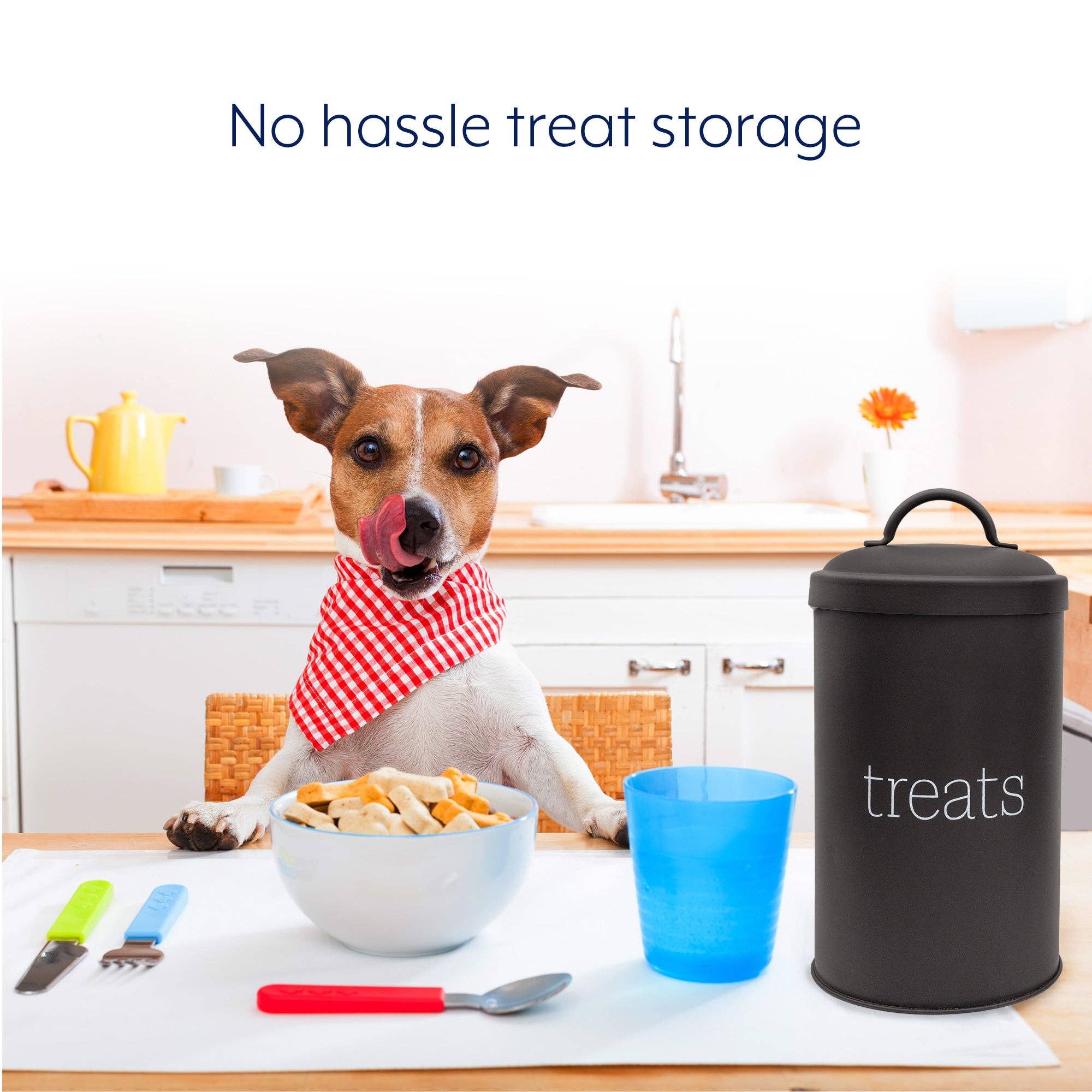 Kurated Korner - Vente Bocal à friandises – chien - Boîte à friandises pour chiens en émail AuldHome Design12