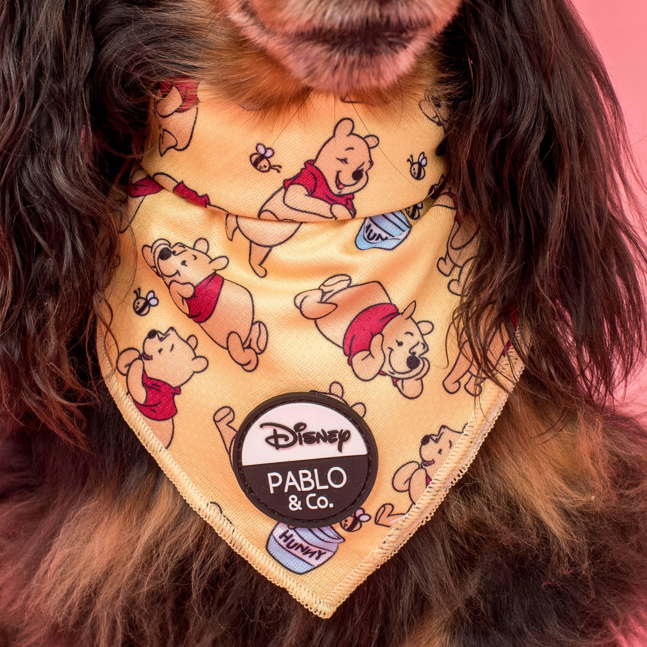 Pablo & Co. Boutique - Wholesale Pet Bandana - Dog - Winnie the Pooh & Bee's: Dog Bandana2