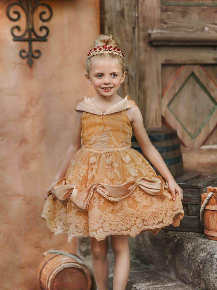 Portrait Petite Red Rose Princess Twirl Fancy Gown Dress for wholesale by Only Little Once