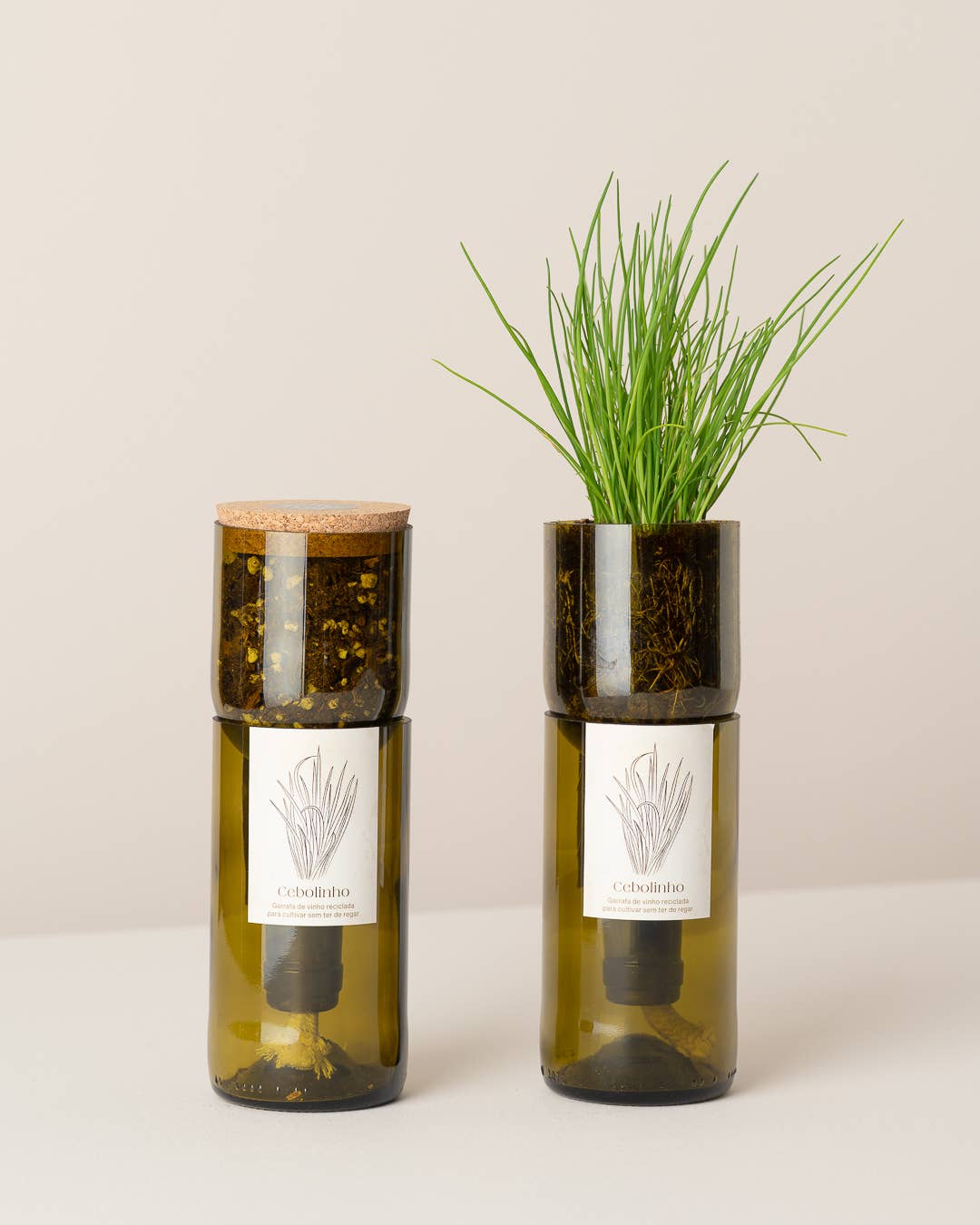 Life in a bag - Vendita all'ingrosso Semi di piante - Vaso Grow Bottle per erba cipollina