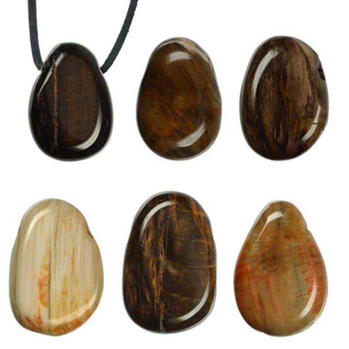 La Boîte à Cailloux - Wholesale Spiritual Stone/Crystal - Fossilized or petrified wood pendant United States A (holed stone) + cord1