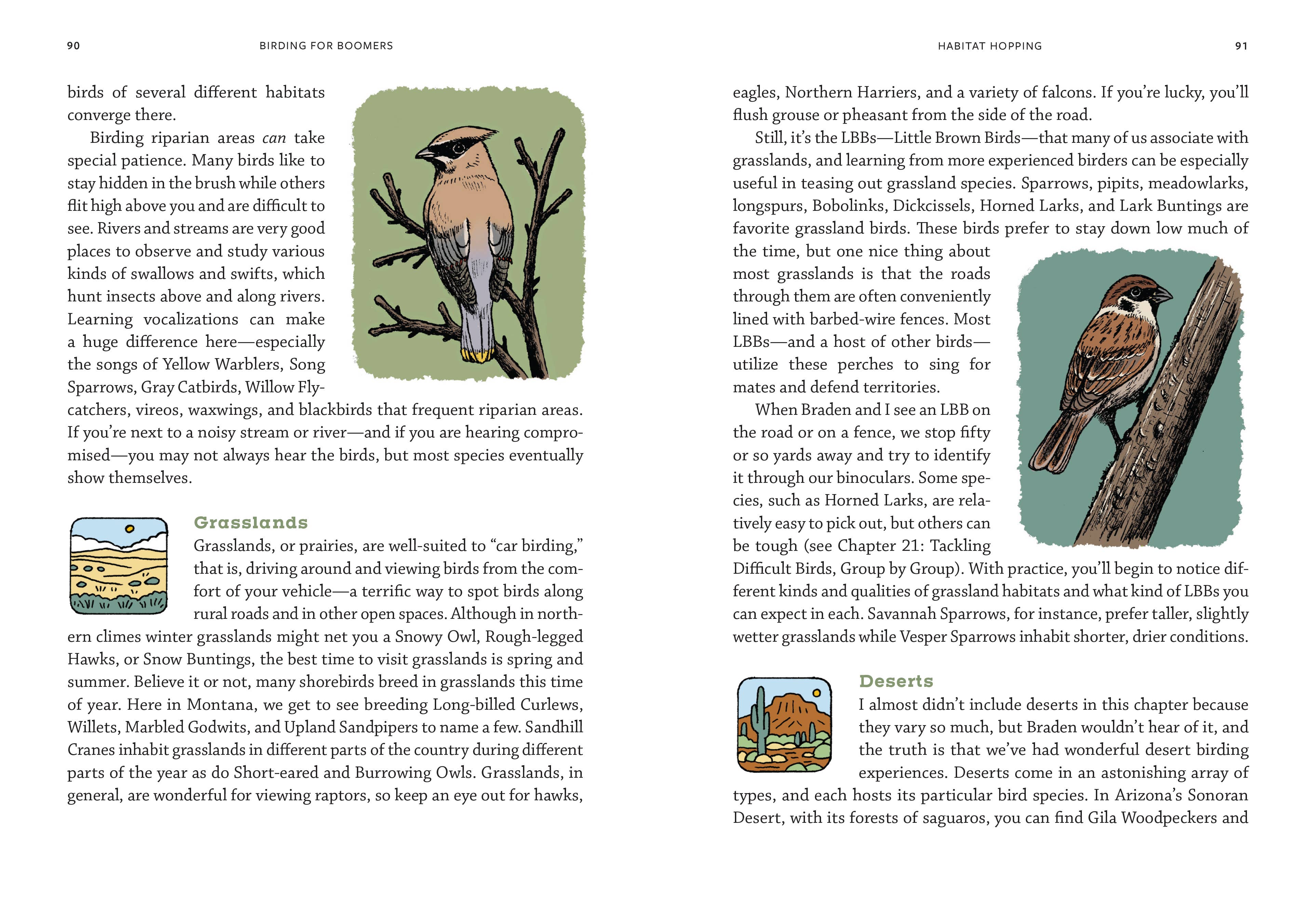 Mountaineers Books - Wholesale Nature & Outdoors - Birding for Boomers4