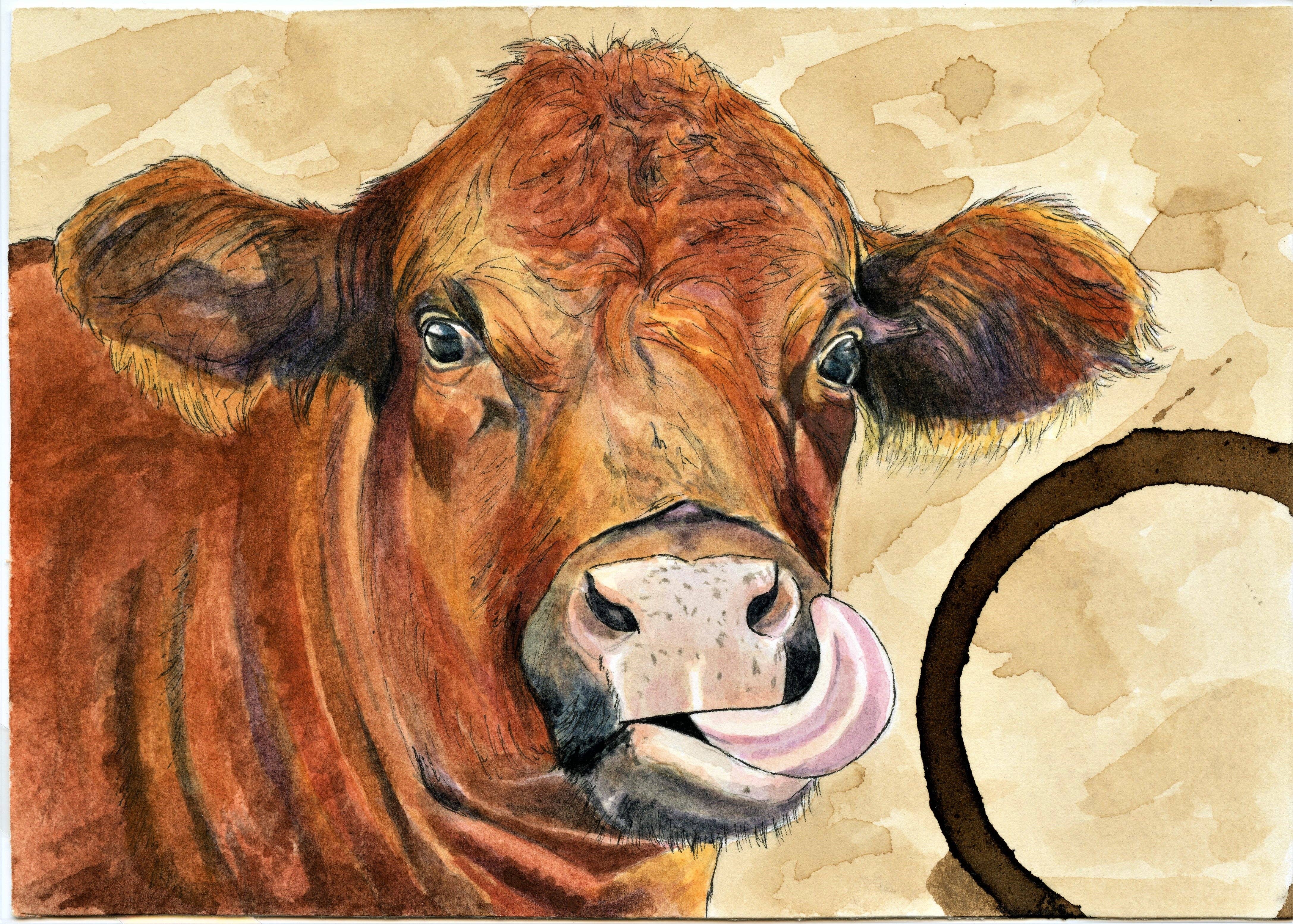 Forever Caroline LLC - Wholesale Stationery/Notecard Set - Farm Animal All-Occasion Single Cards OR Boxed Notecard Set3