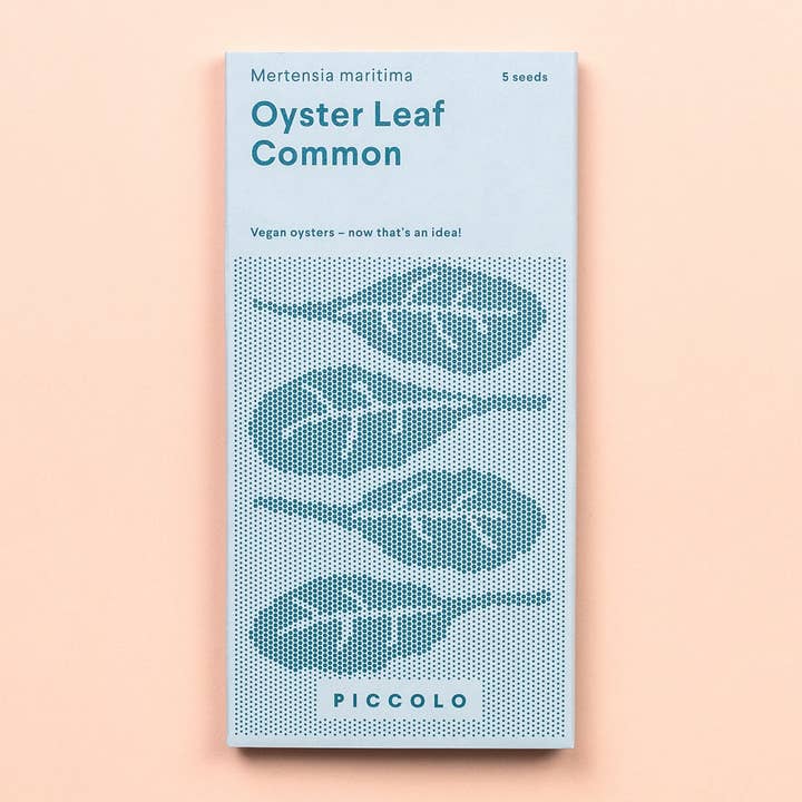 Oyster Leaf for wholesale by Piccolo Seeds