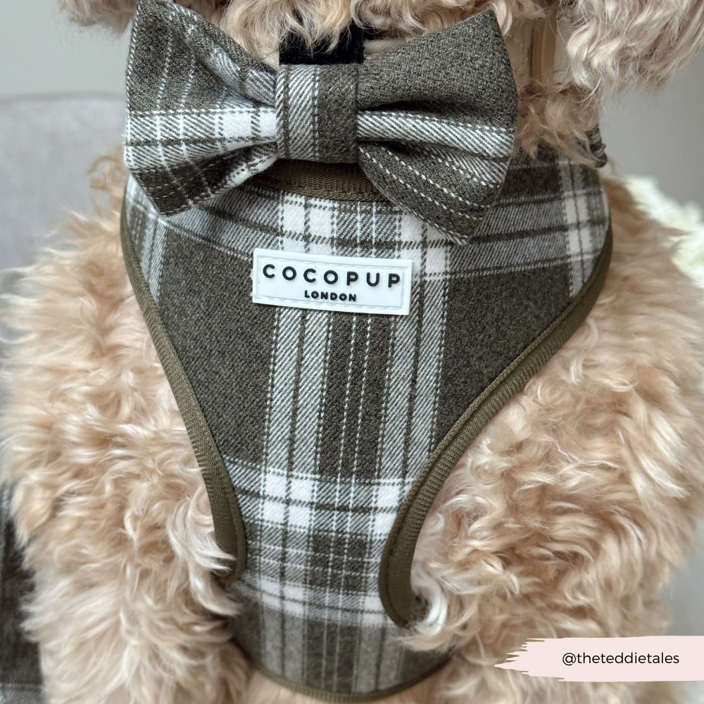 Cocopup London – wholesale Pet harness – Dog – Olive Check Adjustable Neck HARNESS9