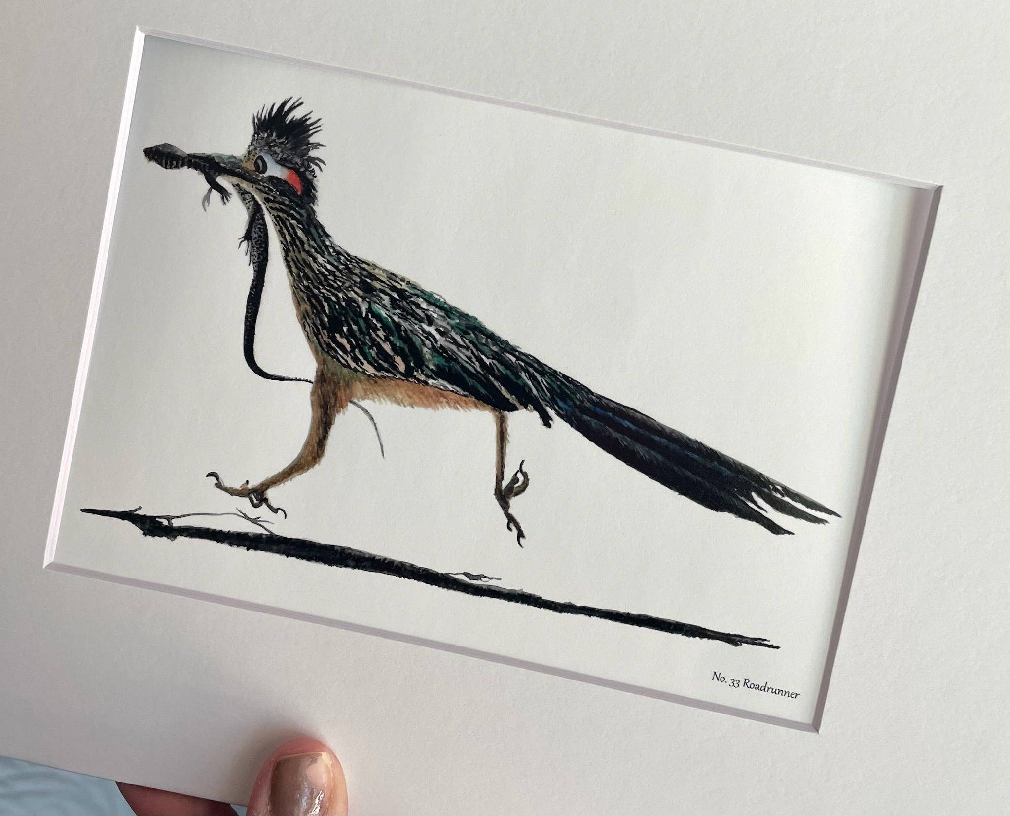 Bird Art by KB - Wholesale Art Print - Roadrunner - Giclee Print1
