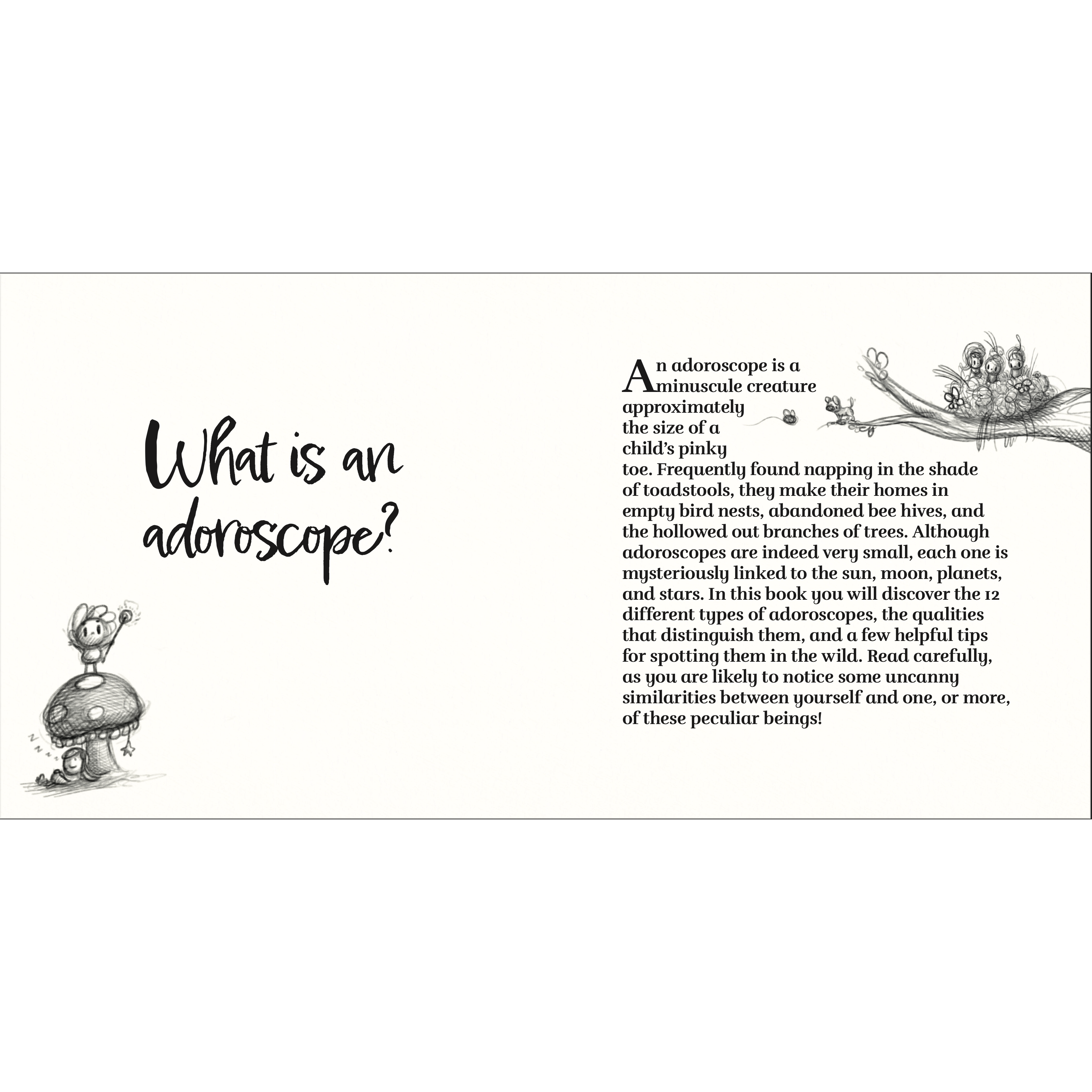 Paul Castle Studio - Wholesale Early Reader Book (6-8) - Adoroscopes Book - An illustrated guide to the 12 adorable signs of the zodiac4