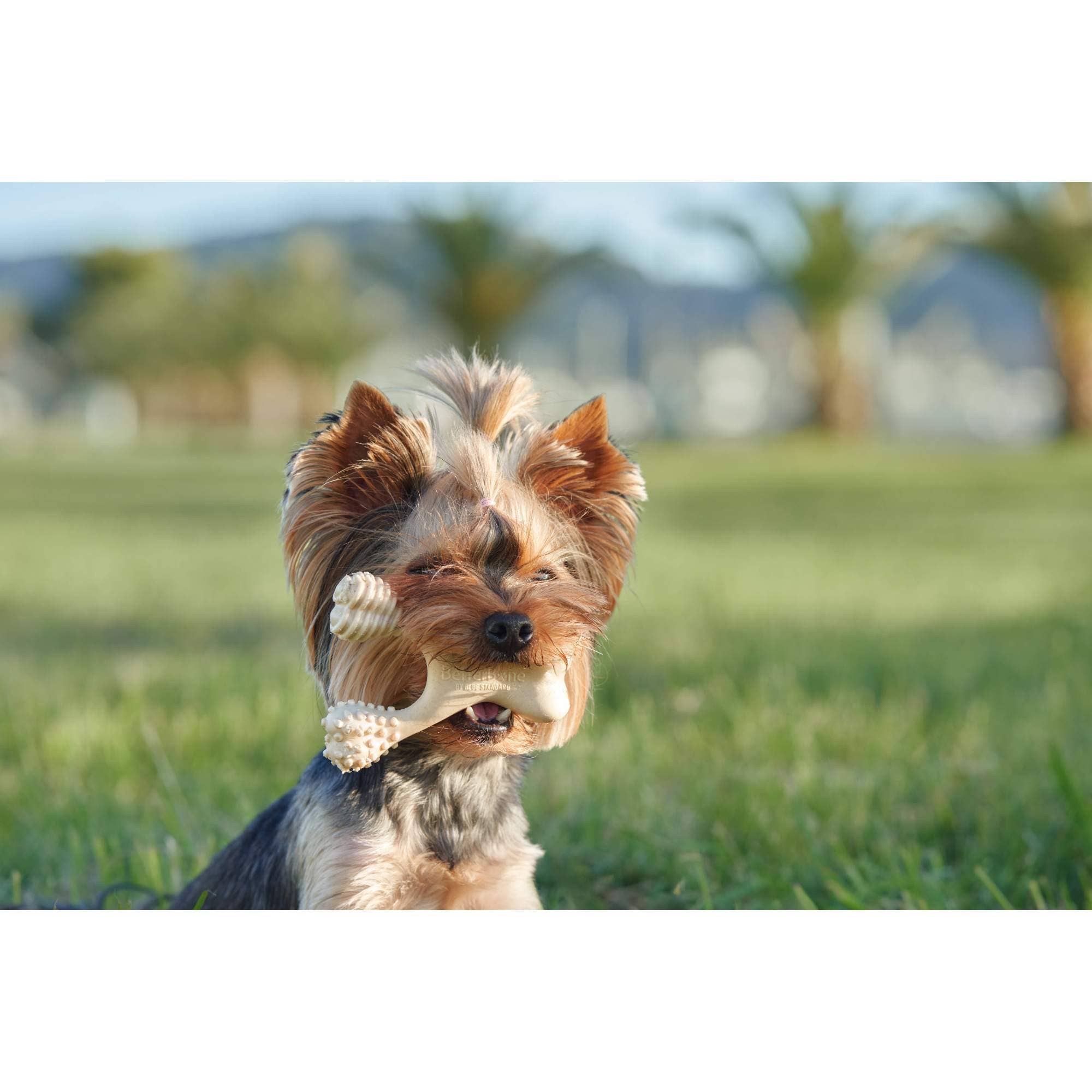 Naomi's Happy Place Shop - Wholesale Pet Chew Toy - Dog - BetterBone HARD CHEW TOY: Natural Ingredients, eco-friendly, and ultra-durable chew for the toughest chewers!12