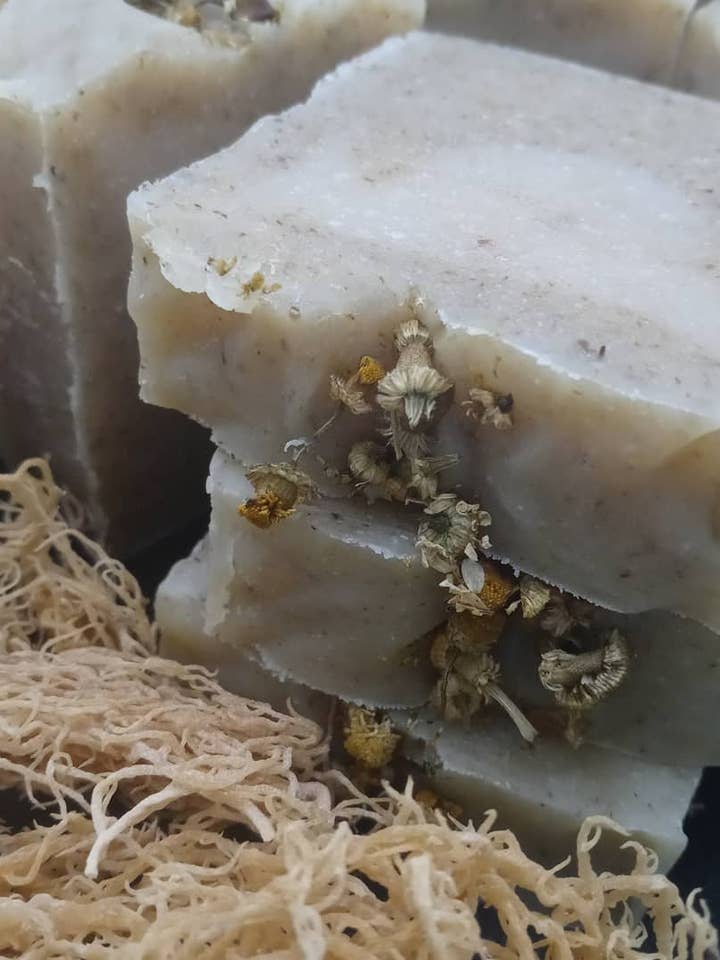 Anti- Aging Chamomile and Sea Moss for wholesale by Soap perfection