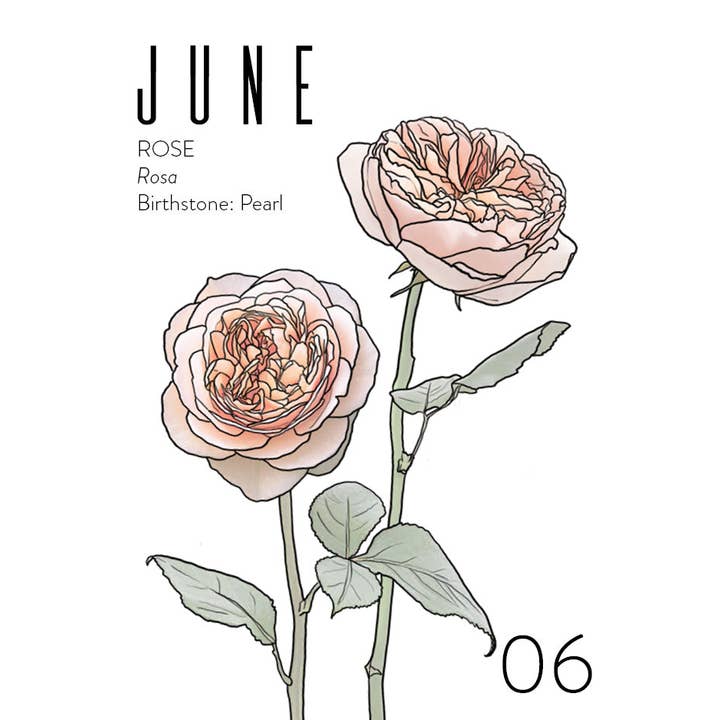 WildFlora - Wholesale Birthday Card - Wholesale Greeting Cards: Birth Month Collection (set of 12)7
