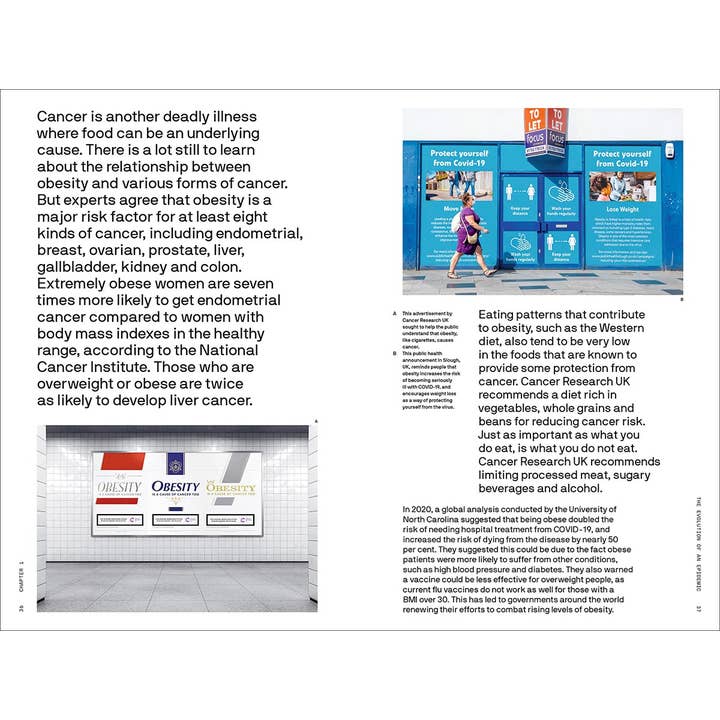 W. W. Norton - Wholesale Book - Adult - Is Our Food Killing Us? (The Big Idea Series)6