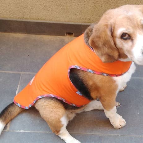 Anti-muggen- en tekenrok gemaakt in Spanje voor wholesale door Maydi Horse