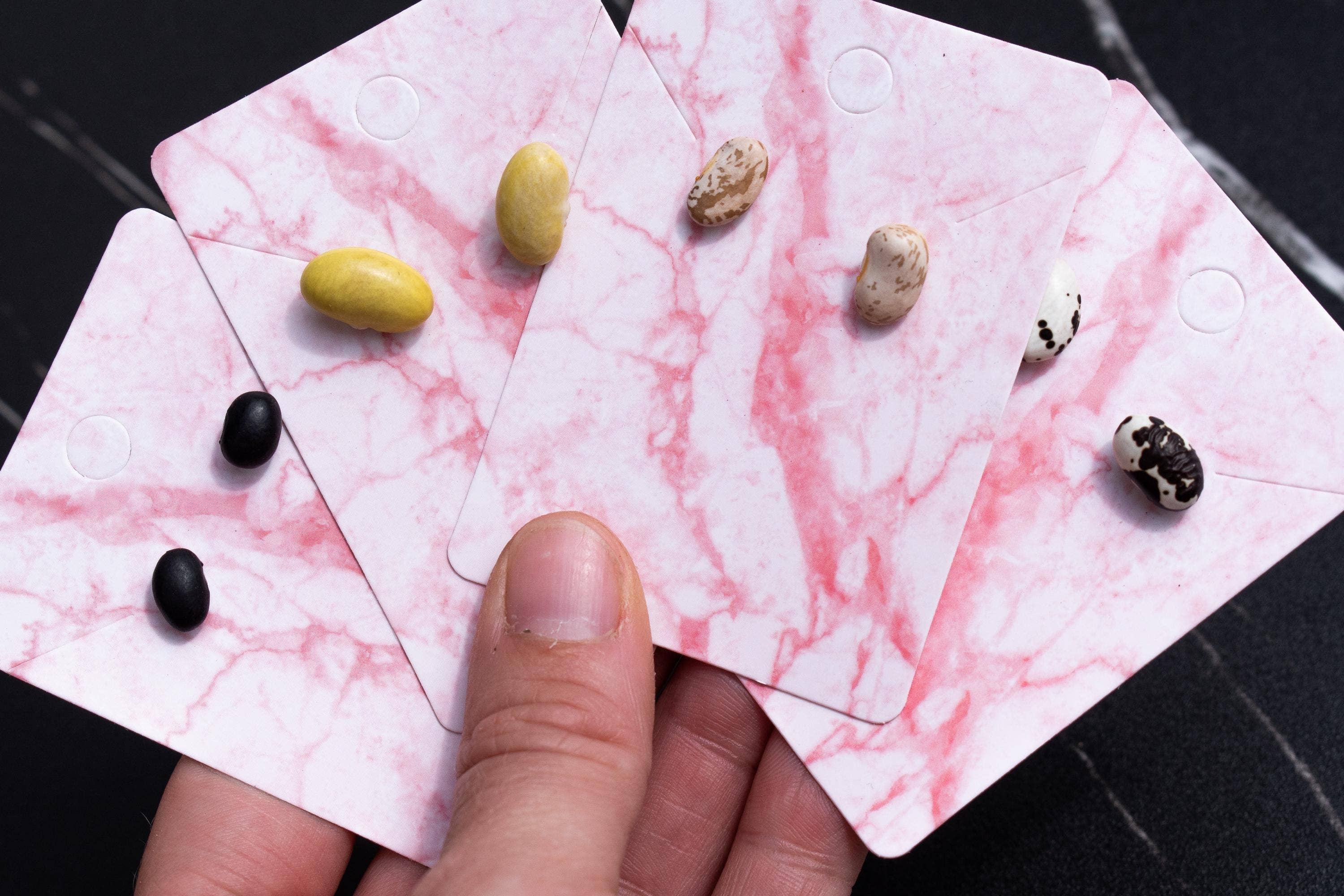 Shutterhaus – wholesale Hängande örhängen – Organiska torkade svarta bönor hypoallergena örhängen3