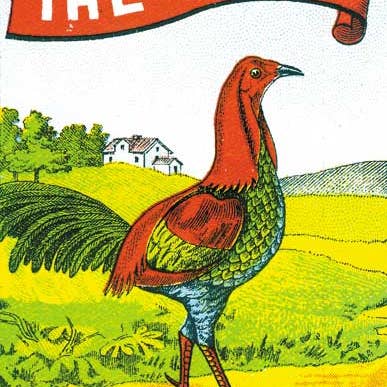 The Cock: Safety Matches - Matchbox Labels Print for wholesale by Laughing Elephant