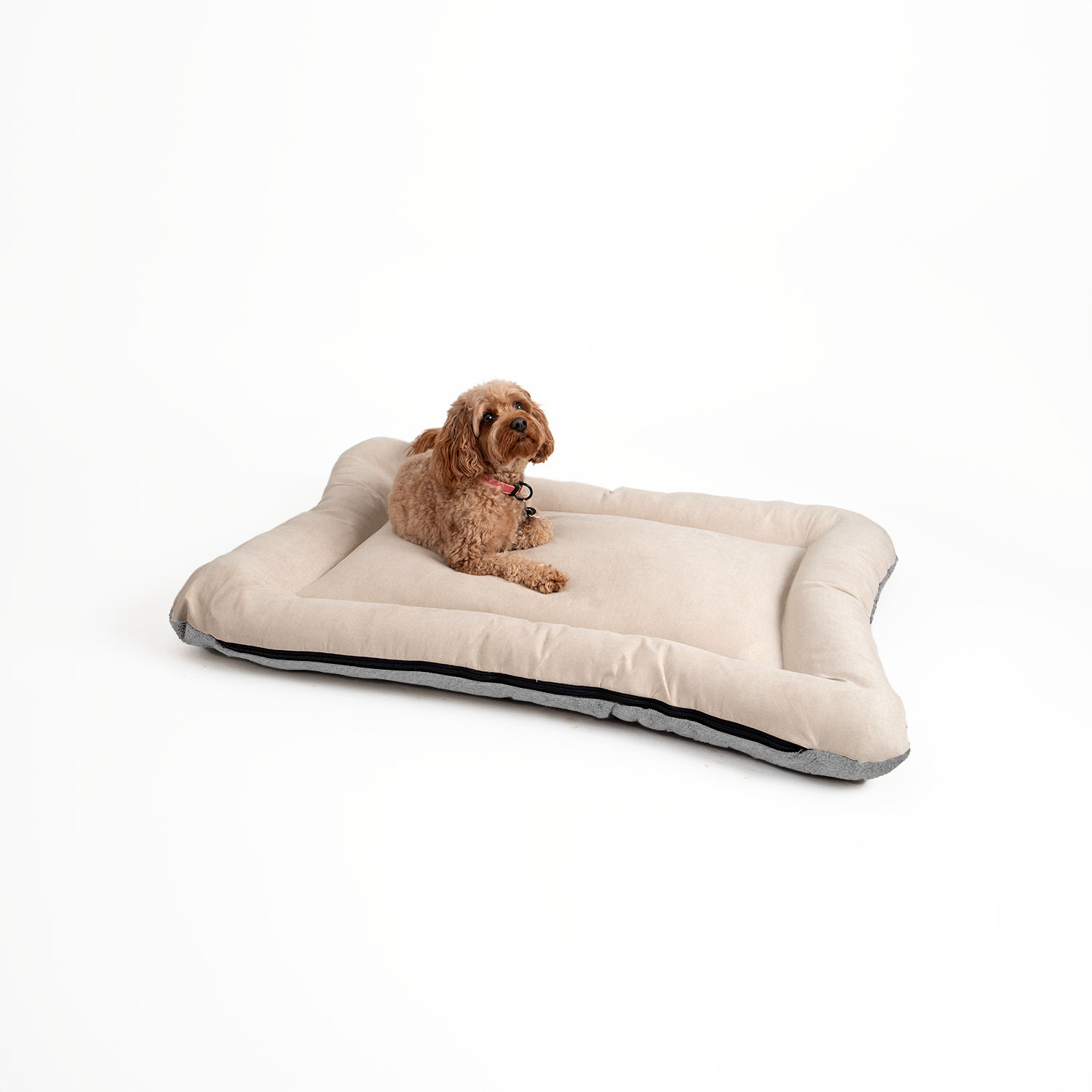 Snoozer Pet Products - Vendita all'ingrosso Letto - Cani - Cuccia per Cani All Day di Snoozer3