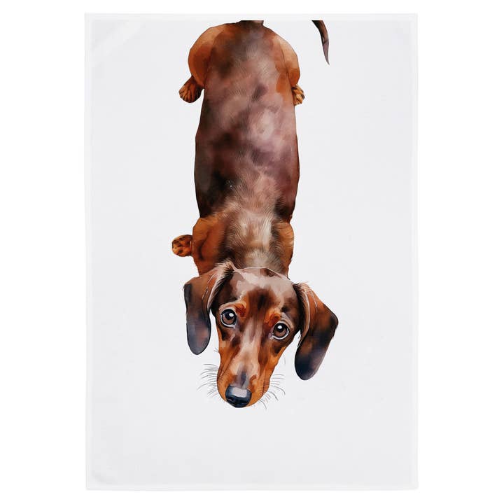 Tea towel, dachshund for wholesale by Miss Cotton