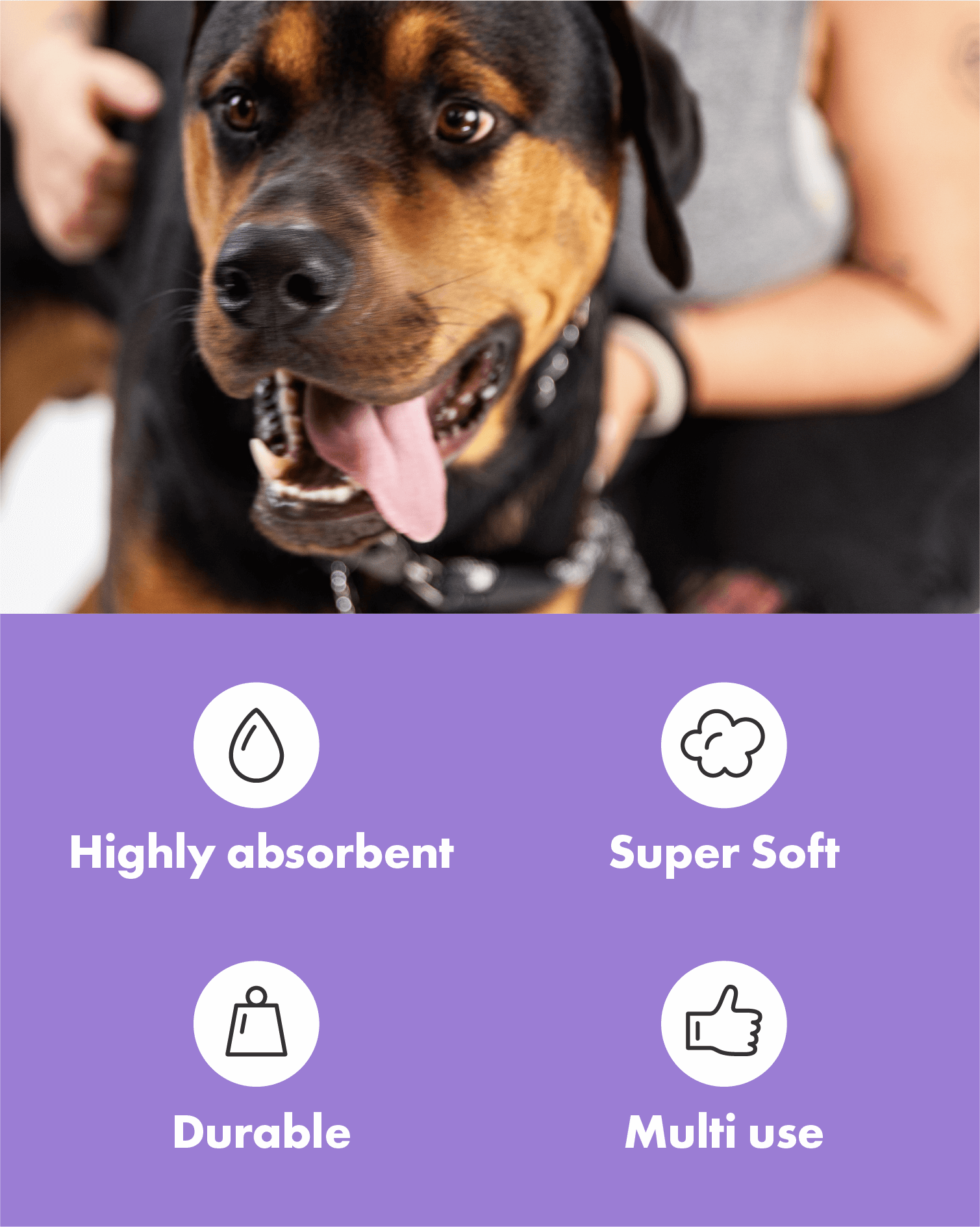 DotDotPet – Engroshandel Håndklæde til kæledyr - Kat/hund – Mini Eco Kæledyrshåndklæder Bionedbrydelige & Superabsorberende (10 stk)4