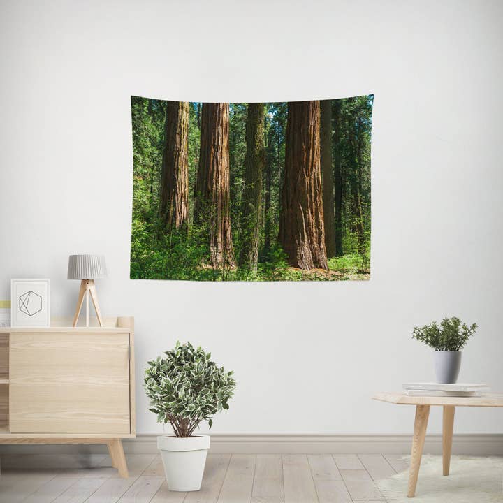 Arazzo da parete Sequoia Forest, decorazione California per la vendita all'ingrosso da parte di lostkatphoto