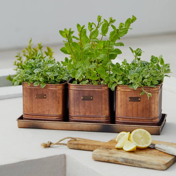 Outdoor Hampton Copper Finish Set of 3 Herb Planters & Tray for wholesale by Ivyline