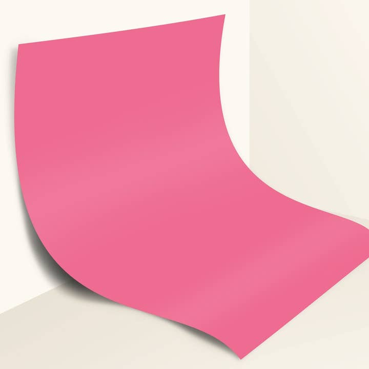 Fotohintergrund mit rosafarbener Blüte für den Großhandel von Everyday Co.