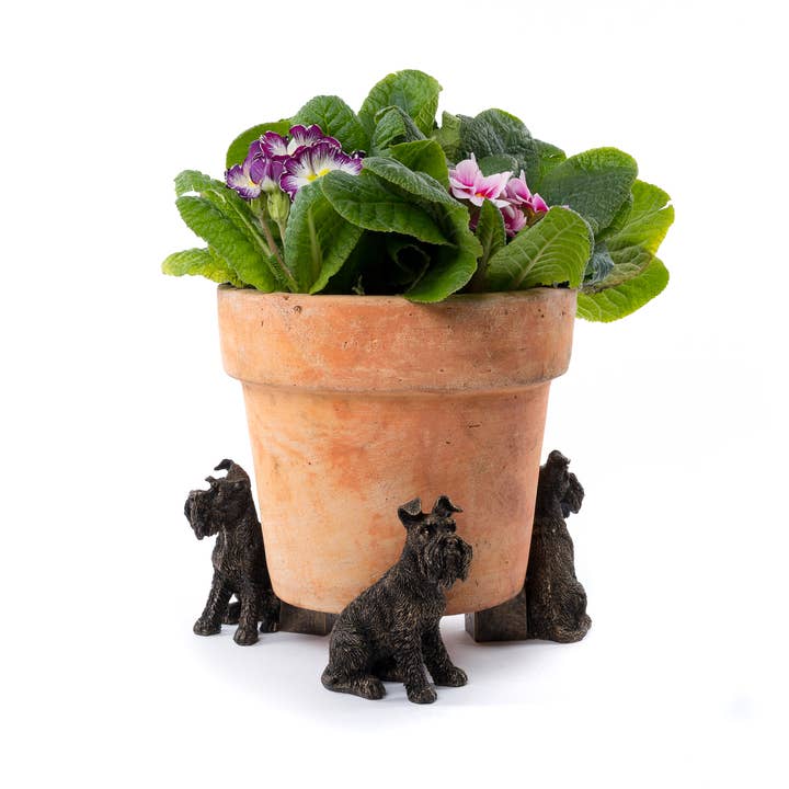 Schnauzer plantenpotvoeten - set van 3 voor wholesale door Jardinopia UK